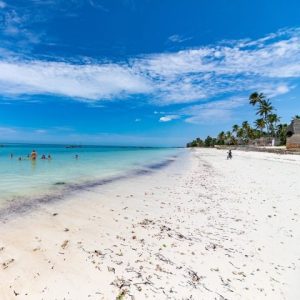 zanzibar-4948788_1280-480x480